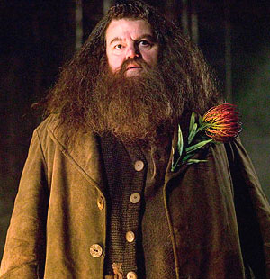 hagrid-10