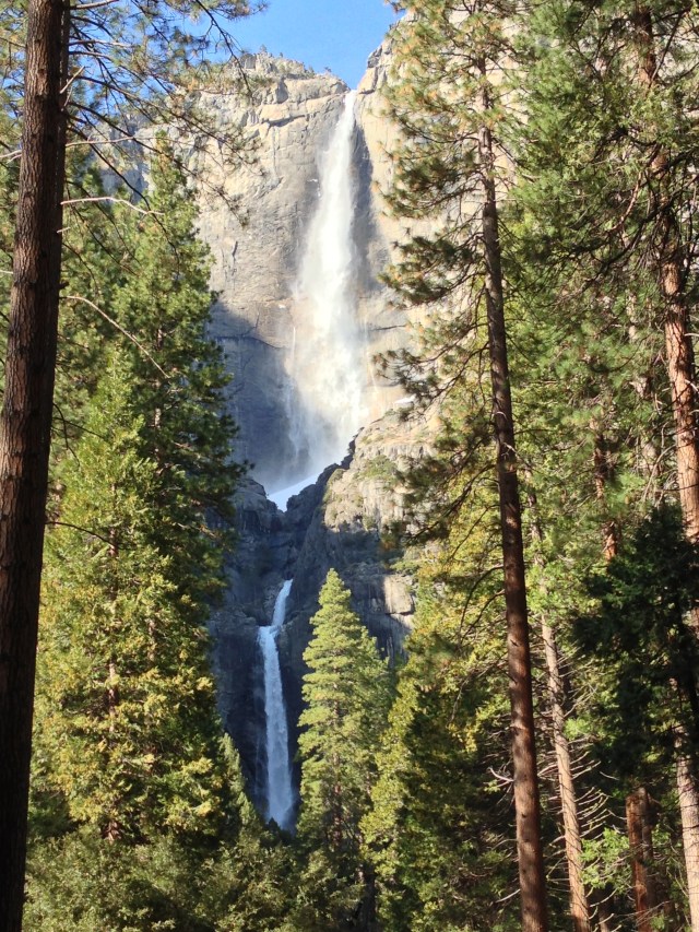Yosemite Falls.  March 2013.