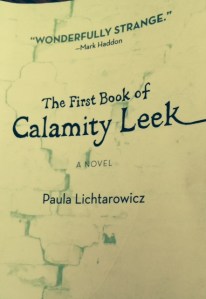 Calamity Leek cover image