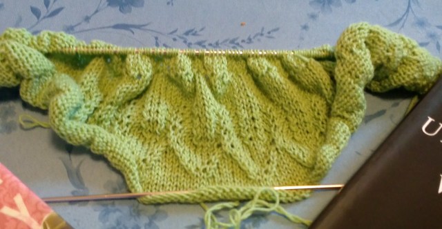 WIN_20160209_113549 (2)